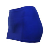 CS55 - Electric Blue Nylon Elastane Spandex Micro Mini Skirt (9-10 Inch Length)